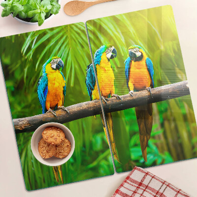Glass kitchen board Parrots on a branch in the tropics
