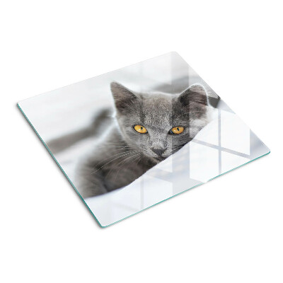 Glass chopping board Cat with yellow eyes