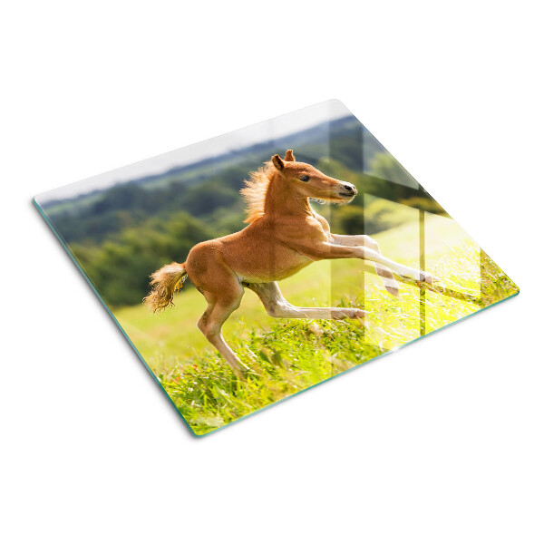 Glass kitchen board Foal in the meadow