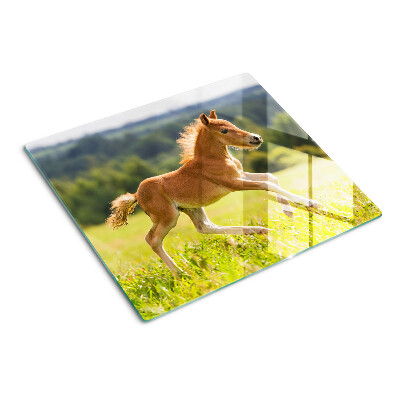 Glass kitchen board Foal in the meadow
