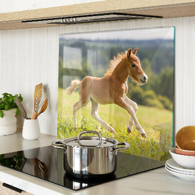 Glass kitchen board Foal in the meadow