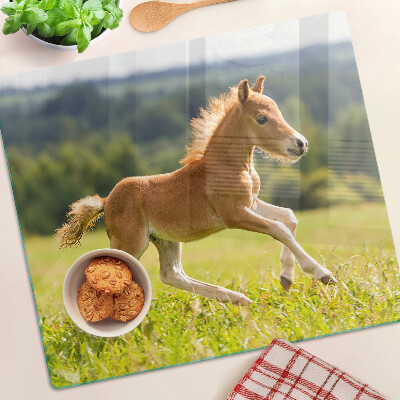 Glass kitchen board Foal in the meadow