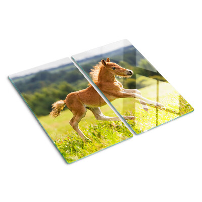 Glass kitchen board Foal in the meadow