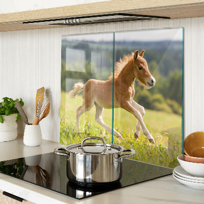 Glass kitchen board Foal in the meadow