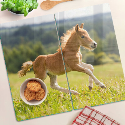 Glass kitchen board Foal in the meadow