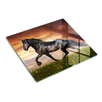 Glass kitchen board A horse against the backdrop of the setting sun