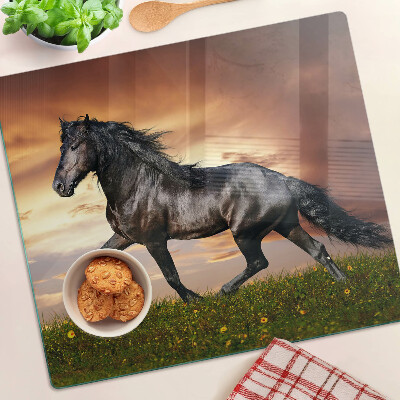 Glass kitchen board A horse against the backdrop of the setting sun