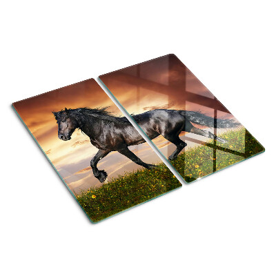 Glass kitchen board A horse against the backdrop of the setting sun