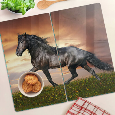 Glass kitchen board A horse against the backdrop of the setting sun