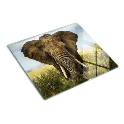 Glass kitchen board An elephant against the backdrop of the African savannah