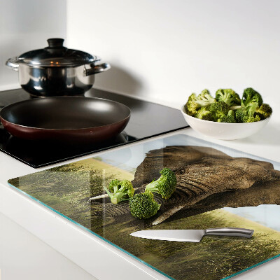 Glass kitchen board An elephant against the backdrop of the African savannah