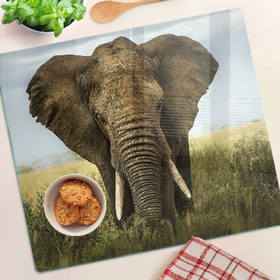 Glass kitchen board An elephant against the backdrop of the African savannah