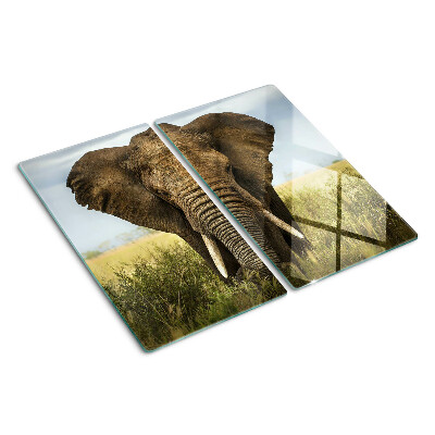 Glass kitchen board An elephant against the backdrop of the African savannah