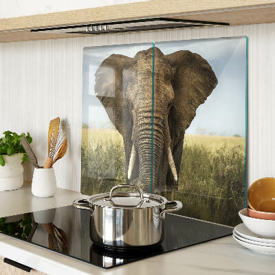 Glass kitchen board An elephant against the backdrop of the African savannah