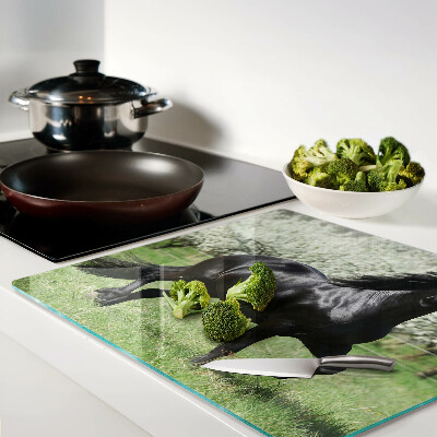 Glass chopping board Black horse in the meadow