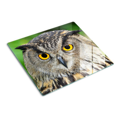 Glass kitchen board Owl with expressive eyes
