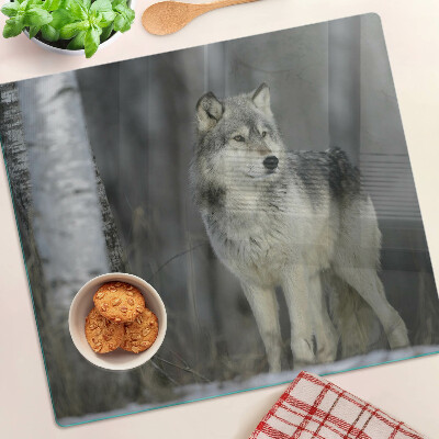 Glass kitchen board Wolf in a forest setting