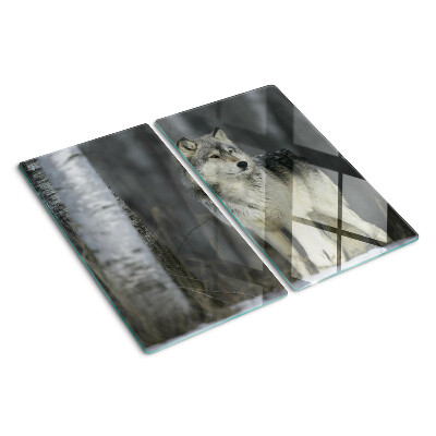 Glass kitchen board Wolf in a forest setting