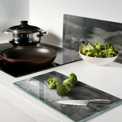 Glass kitchen board Wolf in a forest setting