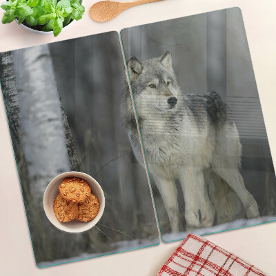 Glass kitchen board Wolf in a forest setting