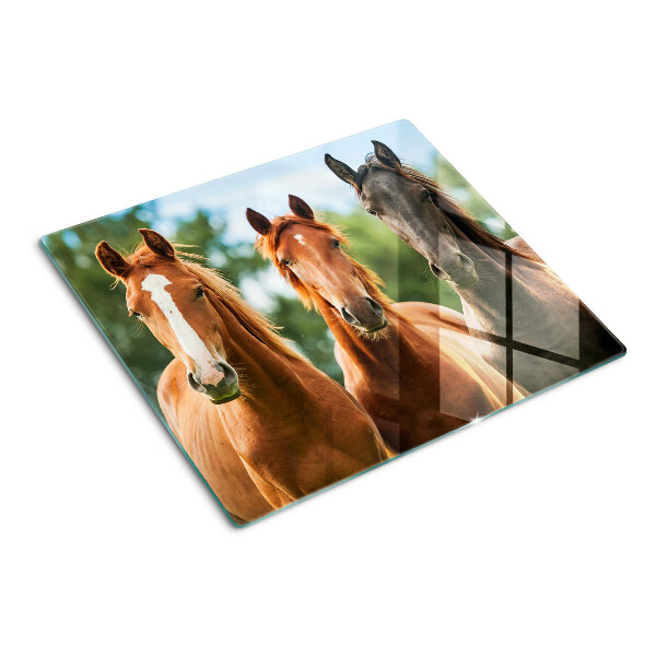 Glass chopping board Horses in nature
