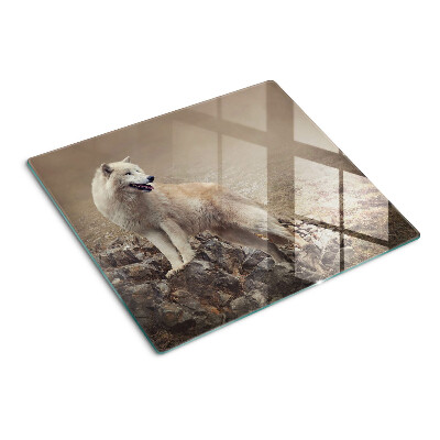 Glass kitchen board Wolf on a rocky mountain