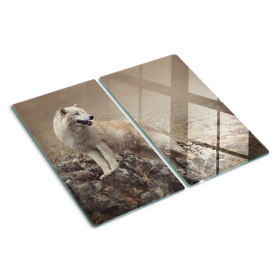 Glass kitchen board Wolf on a rocky mountain