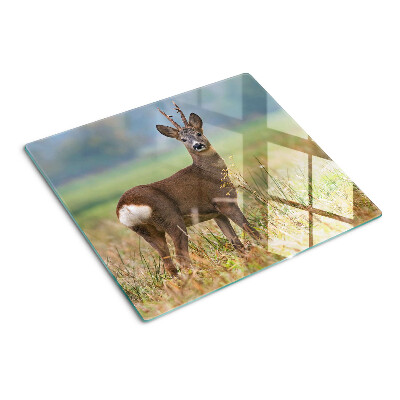 Glass chopping board Roe deer in natural habitat