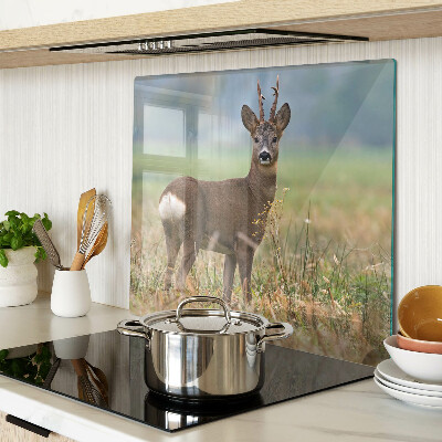 Glass chopping board Roe deer in natural habitat