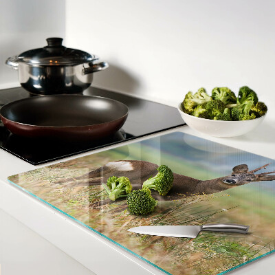 Glass chopping board Roe deer in natural habitat