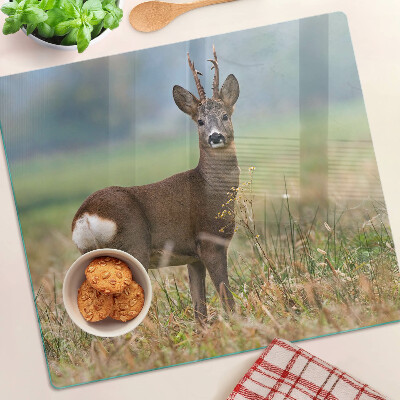 Glass chopping board Roe deer in natural habitat