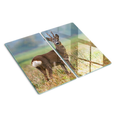 Glass chopping board Roe deer in natural habitat
