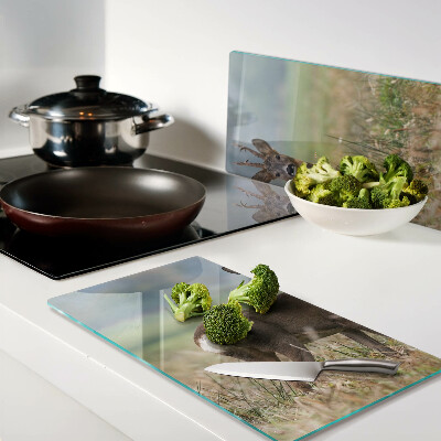 Glass chopping board Roe deer in natural habitat