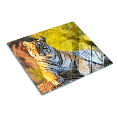 Glass chopping board Tiger in the background of nature