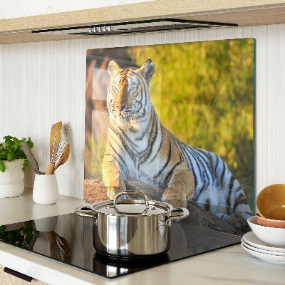 Glass chopping board Tiger in the background of nature