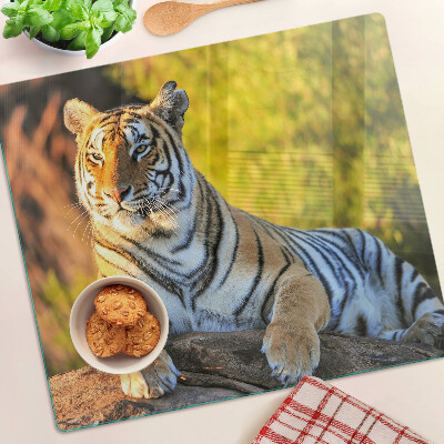 Glass chopping board Tiger in the background of nature