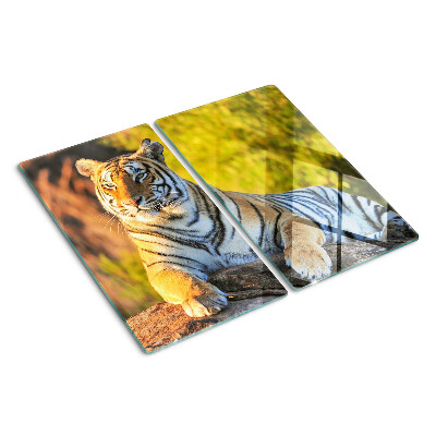 Glass chopping board Tiger in the background of nature