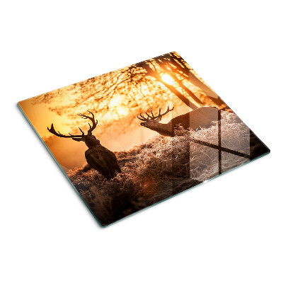 Glass chopping board Deer in the forest at sunset