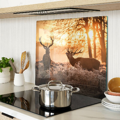 Glass chopping board Deer in the forest at sunset