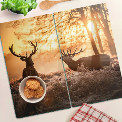 Glass chopping board Deer in the forest at sunset