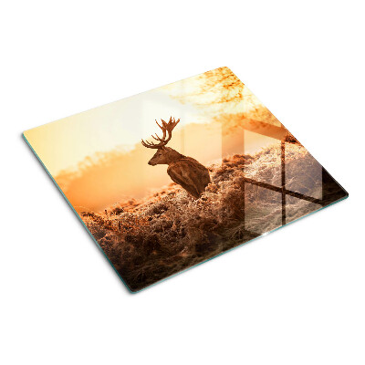 Glass kitchen board Deer against the backdrop of the sunset