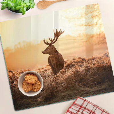 Glass kitchen board Deer against the backdrop of the sunset