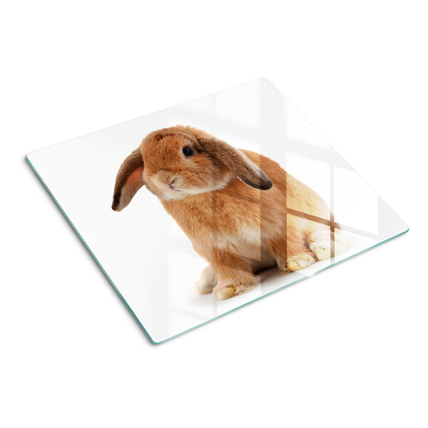 Glass kitchen board Rabbit on a white background