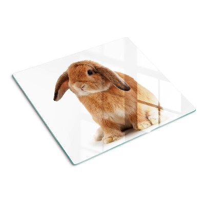 Glass kitchen board Rabbit on a white background