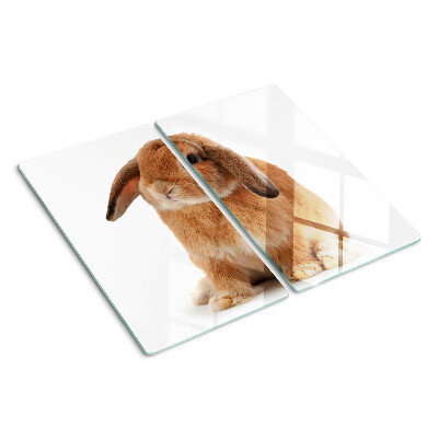 Glass kitchen board Rabbit on a white background