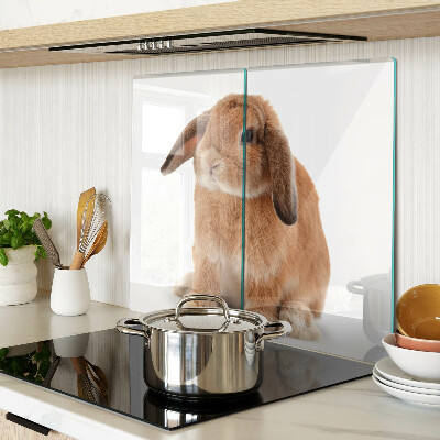 Glass kitchen board Rabbit on a white background
