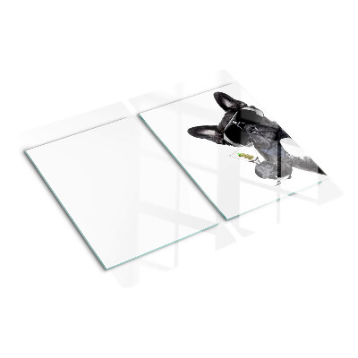 Glass kitchen board Dog with sunglasses