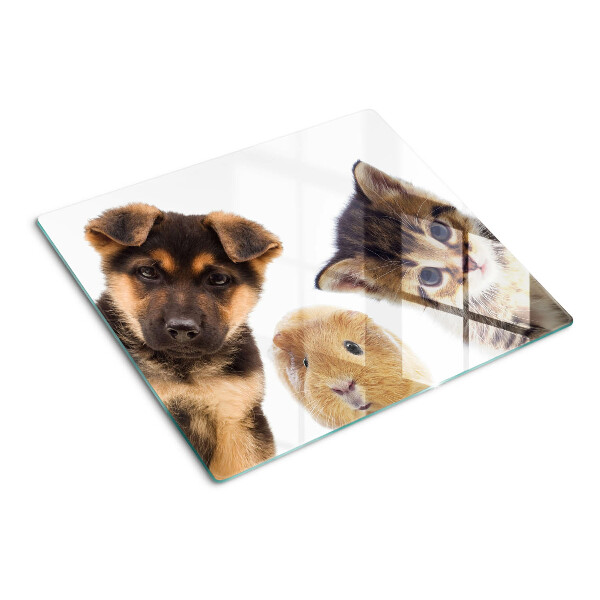 Glass chopping board Dogs, cats, rabbits