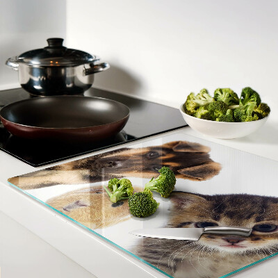 Glass chopping board Dogs, cats, rabbits