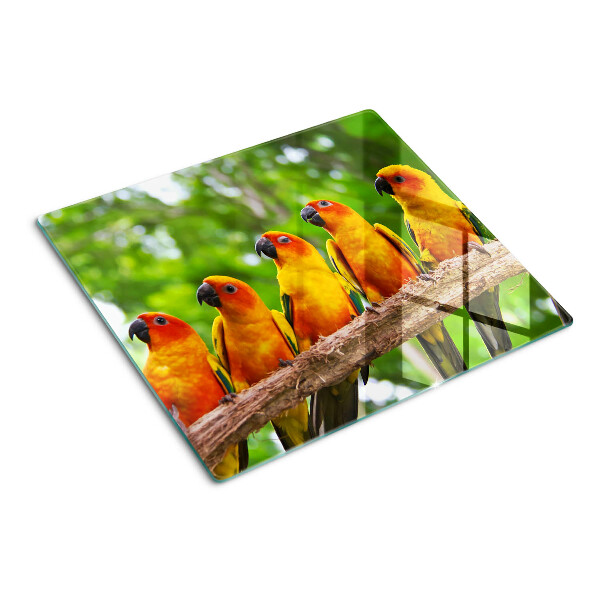 Glass chopping board Parrots on a branch